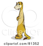 Royalty Free RF Clipart Illustration Of A Smiling Meerkat Standing And Facing Left