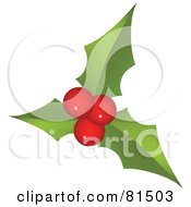 Poster, Art Print Of Three Round Red Holly Berries And Leaves