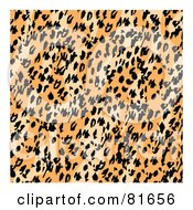 Poster, Art Print Of Diagonal Patterned Leopard Print Background With White Edges