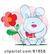 Royalty Free RF Clipart Illustration Of A Happy Blue Bunny Rabbit Holding A Flower In Front Of A Pink Circle