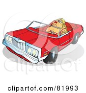 Poster, Art Print Of Pleasantly Plump Blond Lady Driving A Red Convertible Car
