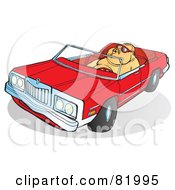 Fat Guy Driving A Red Convertible Car