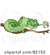 Poster, Art Print Of Curly Tailed Green Chameleon Walking On A Tree Branch