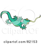 Green Gecko Lizard Shooting His Tongue Out