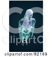 3d Male Skeleton With Transparent Skin Aerial View On Dark Blue