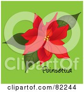 Poster, Art Print Of Red Poinsettia Bloom On Green With Text