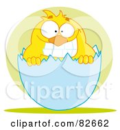 Royalty Free RF Clipart Illustration Of A Yellow Chick Grinning And Peeking Out Of An Egg Shell by Hit Toon