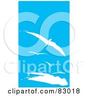 Poster, Art Print Of White Gulls In Flight In A Blue Day Time Sky