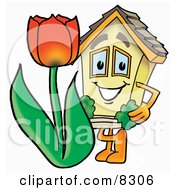 Poster, Art Print Of House Mascot Cartoon Character With A Red Tulip Flower In The Spring