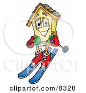 House Mascot Cartoon Character Skiing Downhill