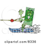 Dollar Bill Mascot Cartoon Character Waving While Water Skiing