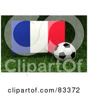 Royalty Free RF Clipart Illustration Of A 3d Soccer Ball Resting In The Grass In Front Of A Reflective France Flag