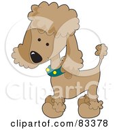 Poster, Art Print Of Cute Apricot Poodle Puppy Dog Wearing A Green Collar With Yellow Spots And Sporting A Puppy Clip