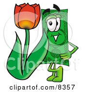 Poster, Art Print Of Dollar Bill Mascot Cartoon Character With A Red Tulip Flower In The Spring