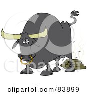 Poster, Art Print Of Gray Bull Pooping With Flies