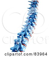 Royalty Free RF Clipart Illustration Of A 3d Blue Human Spine by Mopic