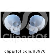 Poster, Art Print Of Two White 3d Human Skulls Over Black