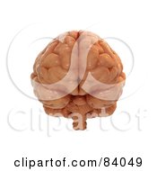 Royalty Free RF Clipart Illustration Of A Frontal View Of A 3d Human Brain