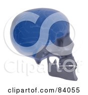 Royalty Free RF Clipart Illustration Of A 3d Brain And Skull Xray