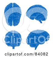 Poster, Art Print Of Digital Collage Of Four Blue 3d Brains From Different Angles