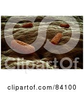 Royalty Free RF Clipart Illustration Of A 3d Background Of Bacteria Attacking Tissue by Mopic