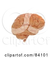 Royalty Free RF Clipart Illustration Of A Profile View Of A 3d Human Brain by Mopic
