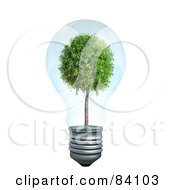 Poster, Art Print Of Mature Tree Growing Inside Of A Transparent 3d Light Bulb