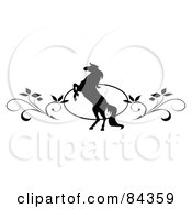 Poster, Art Print Of Black And White Rearing Horse And Vine Website Header Or Page Divider