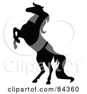 Poster, Art Print Of Black Rearing Horse Silhouette