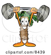 Palm Tree Mascot Cartoon Character Holding A Heavy Barbell Above His Head