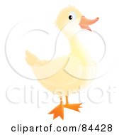 Poster, Art Print Of Happy White Duck