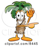 Poster, Art Print Of Palm Tree Mascot Cartoon Character Waving And Pointing