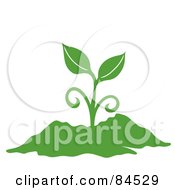 Poster, Art Print Of Green Sprouting Plant In Soil