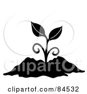 Poster, Art Print Of Black And White Sprouting Plant In Soil
