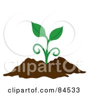 Poster, Art Print Of Green Sprouting Plant In Dirt