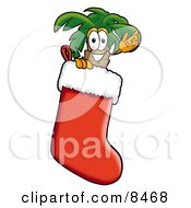 Clipart Picture Of A Palm Tree Mascot Cartoon Character Inside A Red Christmas Stocking