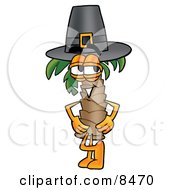 Poster, Art Print Of Palm Tree Mascot Cartoon Character Wearing A Pilgrim Hat On Thanksgiving