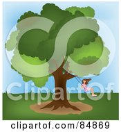 Poster, Art Print Of Girl Swinging From A Mature Oak Tree In A Yard