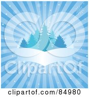 Poster, Art Print Of Blue Bursting Winter Background With Snowflakes Evergreens And A Blank Banner