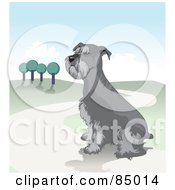 Sitting Schnauzer Dog On A Hilly Landscape Path