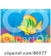 Poster, Art Print Of Green And Orange Marine Fish At A Colorful Coral Reef
