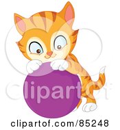 Poster, Art Print Of Cute Striped Marmalade Cat Playing With A Purple Ball
