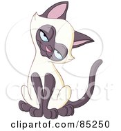 Royalty Free RF Clipart Illustration Of A Cute Siamese Kitten Tilting Its Head And Smiling