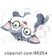 Poster, Art Print Of Gray And White Kitten Laying On His Back And Reaching Out