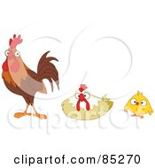 Poster, Art Print Of Digital Collage Of A Bird Family A Rooster Hen And Chick