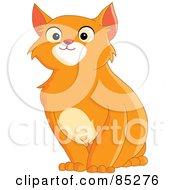 Poster, Art Print Of Handsome Orange Cat Sitting