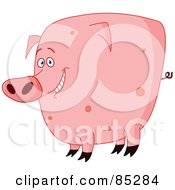 Poster, Art Print Of Chubby Pink Spotted Pig