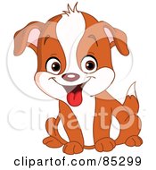 Poster, Art Print Of Cute Brown And White Puppy Dog Sitting