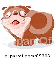Poster, Art Print Of Wrinkly Brown Dog