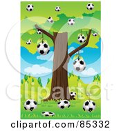 Soccer Balls Below And Hanging From A Tree In A Hilly Landscape